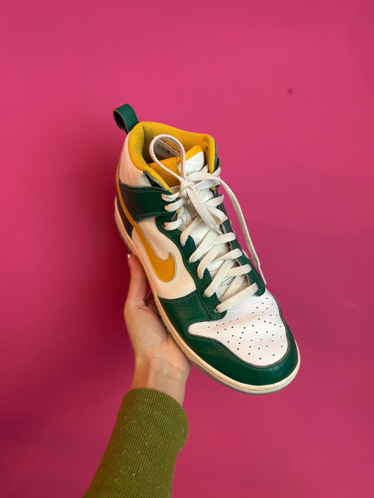 69-35 Nike dunk high maat 43