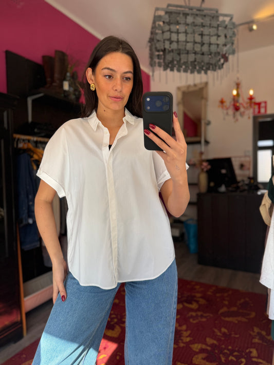 254-119 Luisa Cerano blouse maat 42/44