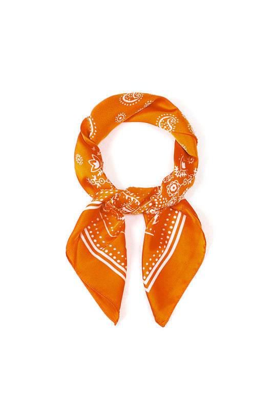 Summer scarves Paisley Pattern Casual Polyester Daily Accessories